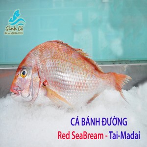 Ca Banh Duong