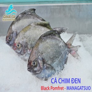 Ca Chim Den