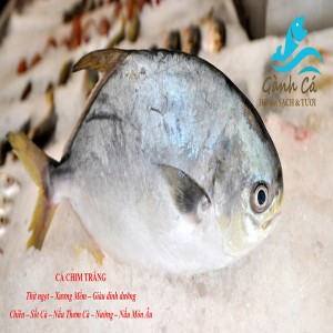 Ca Chim Trang