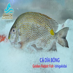 Ca Dia Bong