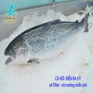 Ca Hoi