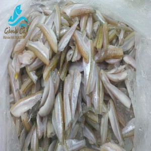 Ca Long Tong lamsach