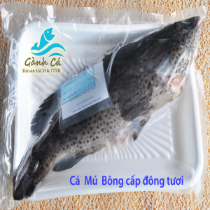 Ca Mu Bong nguyen con dong lanh website