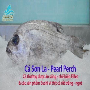 Ca Son La