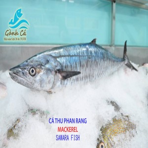Ca Thu Cau