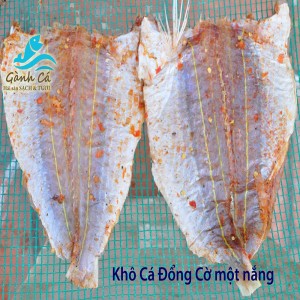 Kho Ca Dong Co