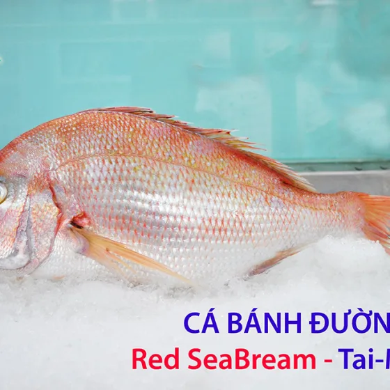 Cá Bánh Đường