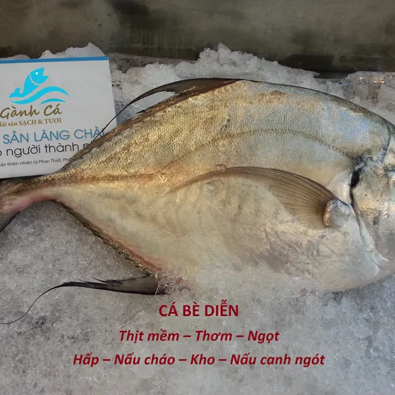 Cá Bè Diễn