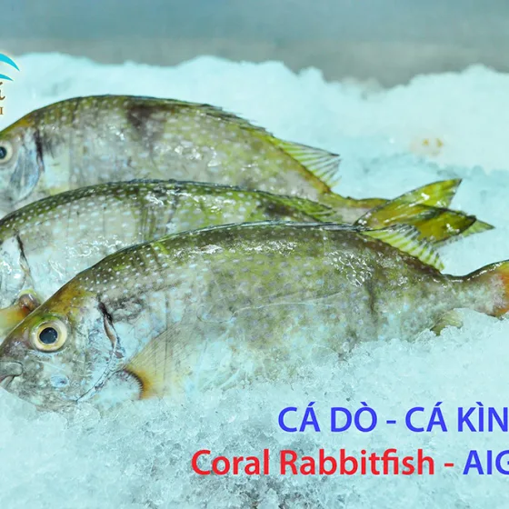 Cá Kình