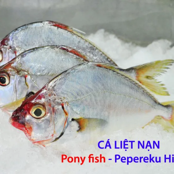 Cá Liệt Nạng