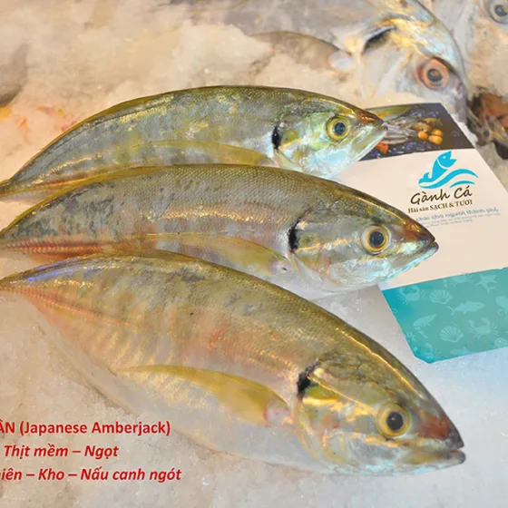 Cá Ngân