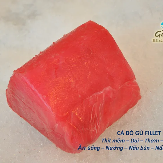 Philê Cá Ngừ