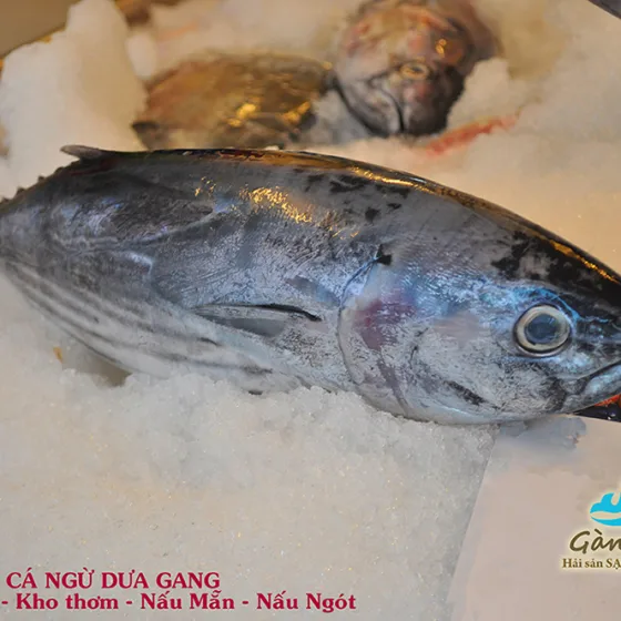 Cá Ngừ Dưa Gang