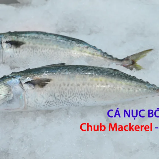 Cá Nục Bông