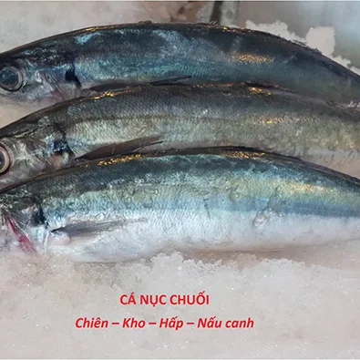 Cá Nục Chuối