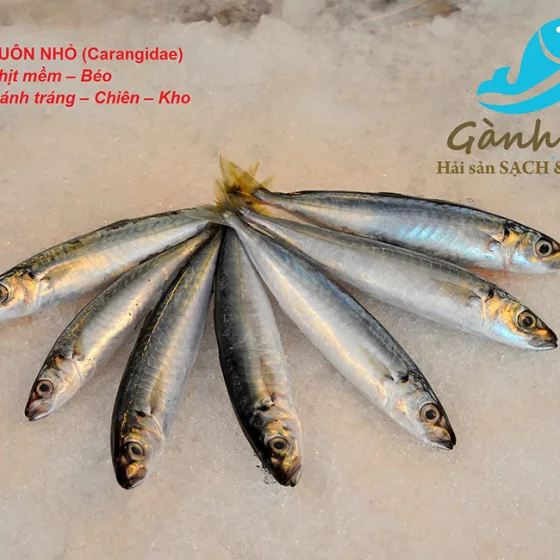 Cá Nục Suôn Nhỏ