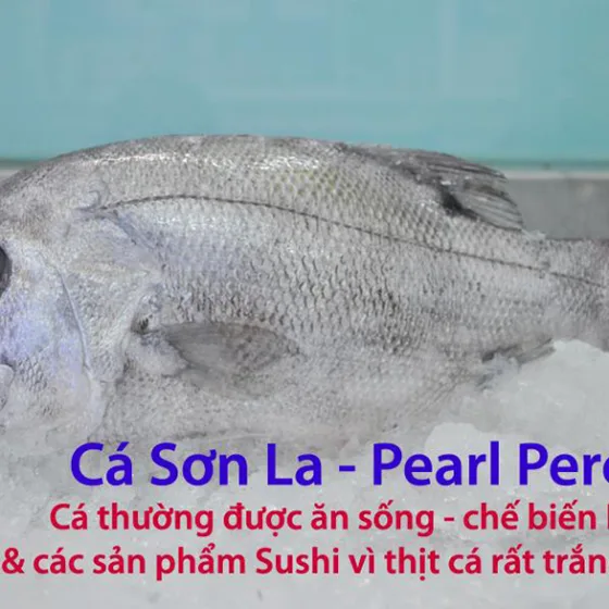 Cá Sơn La