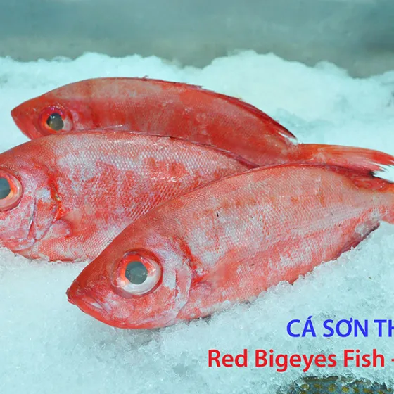 Cá Sơn Thóc – Bã Trầu Nhỏ