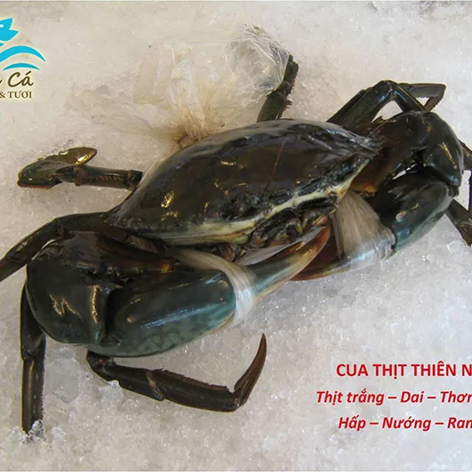 Cua Thịt