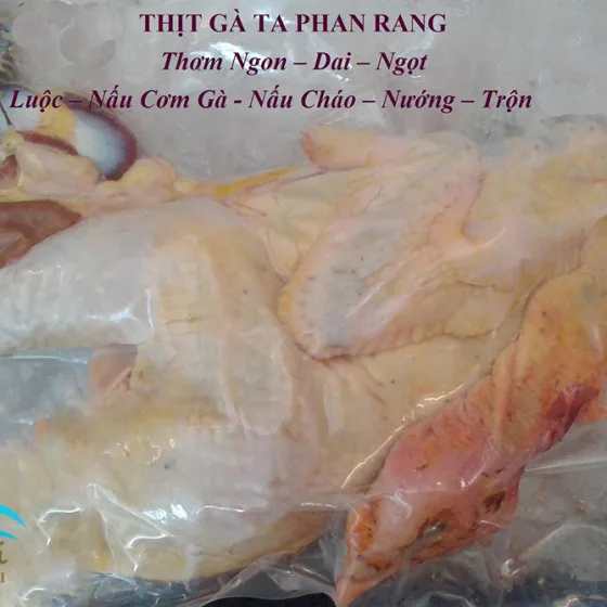 Gà Ta Phan Rang
