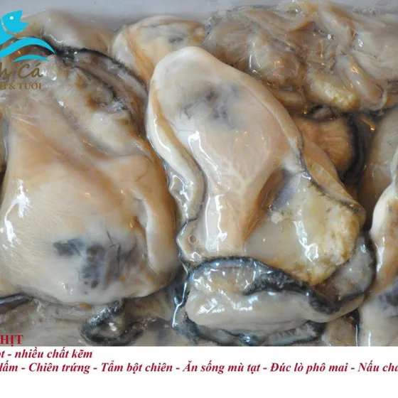 Thịt Hào Sữa