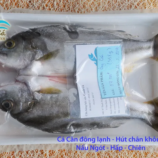 Cá Căn đông lạnh