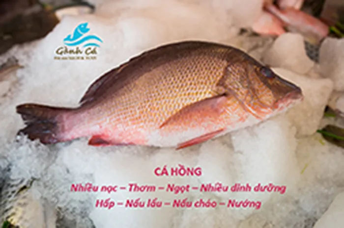 Cá hồng tươi ướp đá