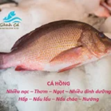 Cá Hồng