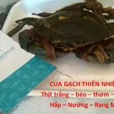 Cua Gạch