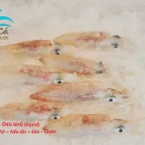 Mực Ống Nhỏ