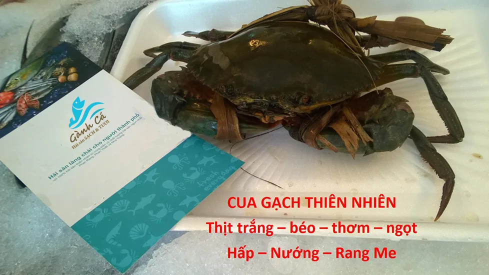 Cua Gạch